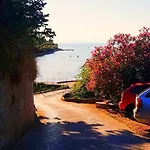Mare - Sunny Island Rab *