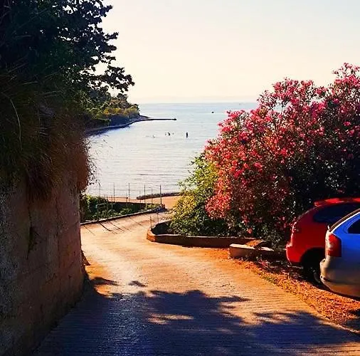Mare - Sunny Island Rab *